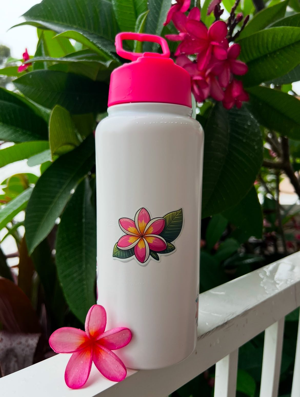 Janet Journals - Pink Frangipani