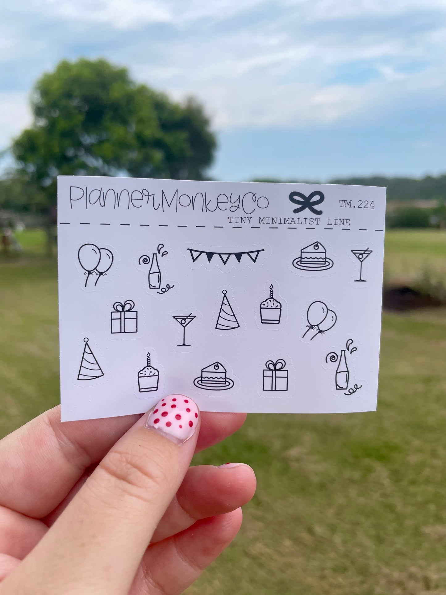 Celebration/Birthday Tiny Sheet