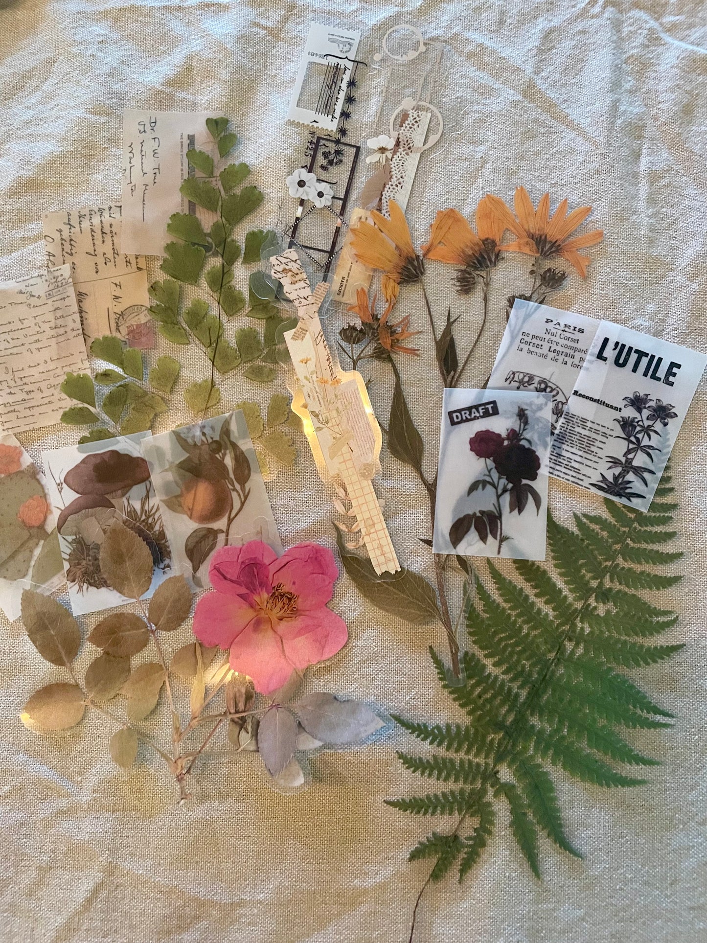 Journaling and Scrapbooking Ephemera Starter Kit
