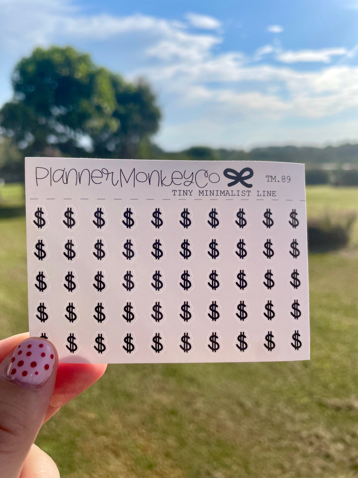 Dollar Sign $ Tiny Sheet
