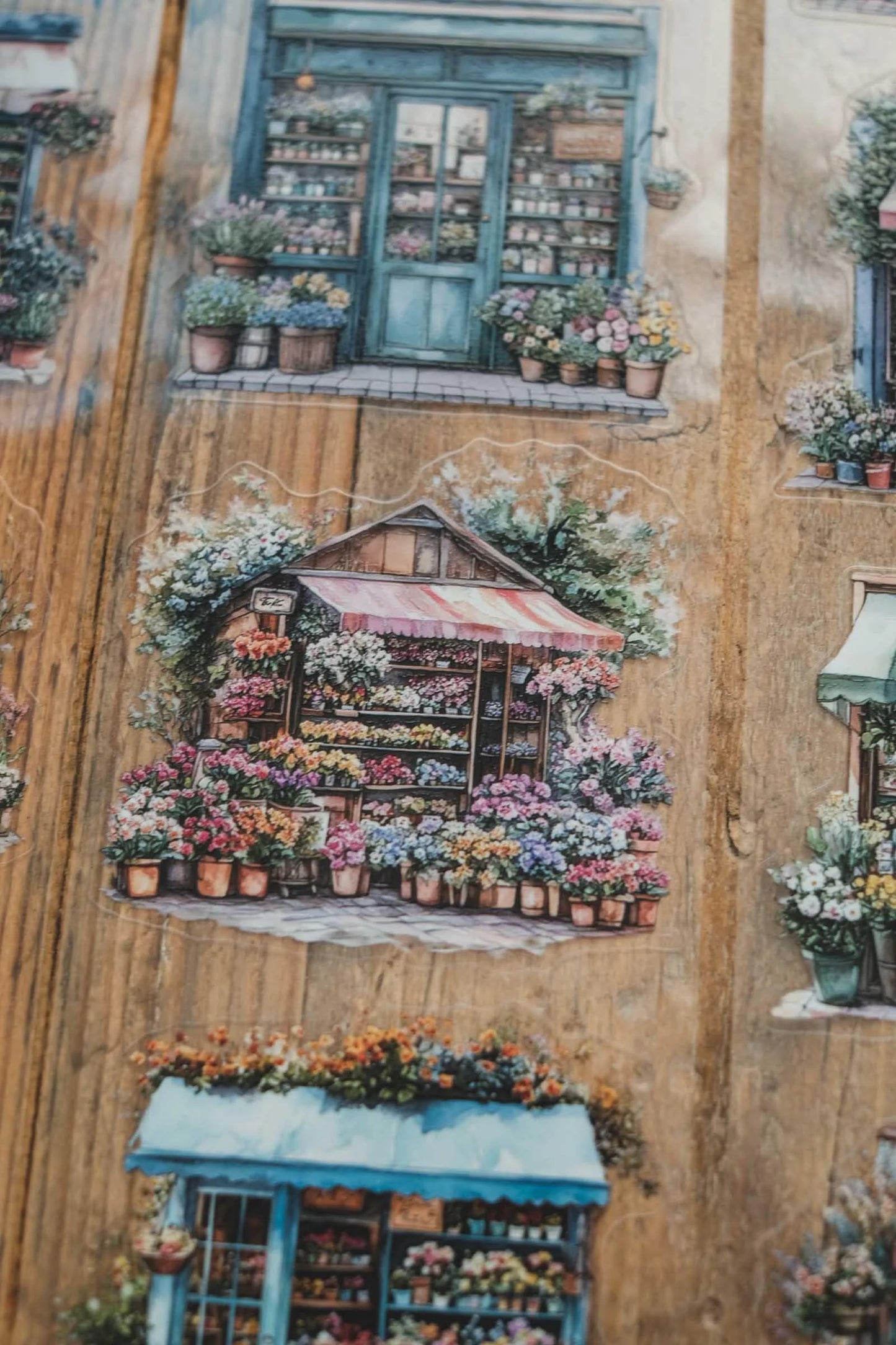 LG | Cheerful flower shops - Kiss Cut - One PET loop