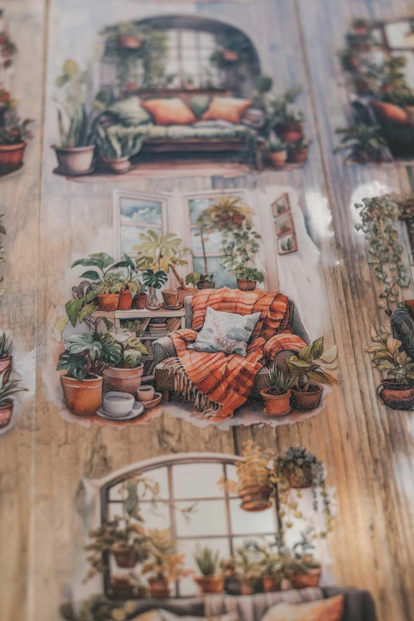 LG | Cosy Plants Autumn Nooks - One PET loop