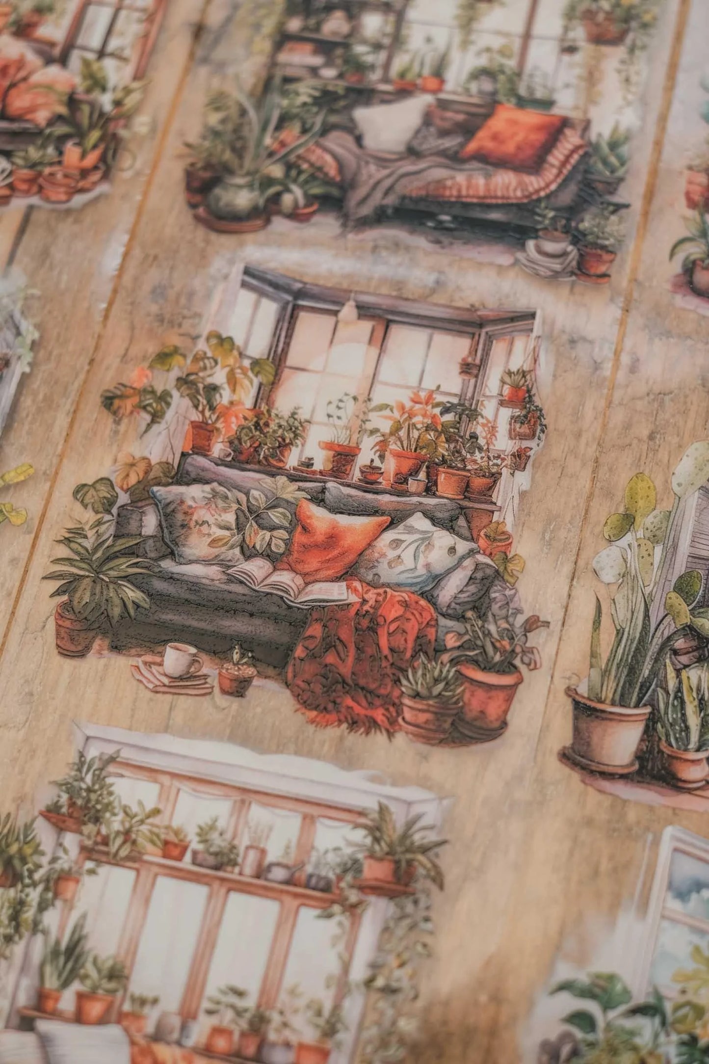 LG | Cosy Plants Autumn Nooks - One PET loop