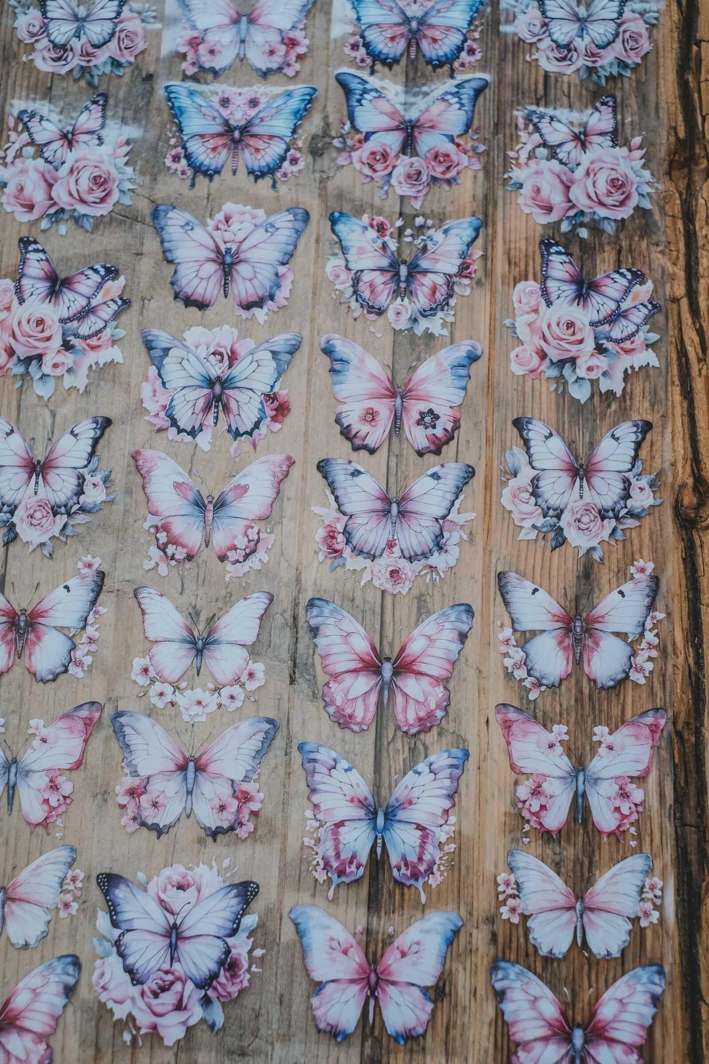 LG | Dreamy pink butterflies - One PET loop