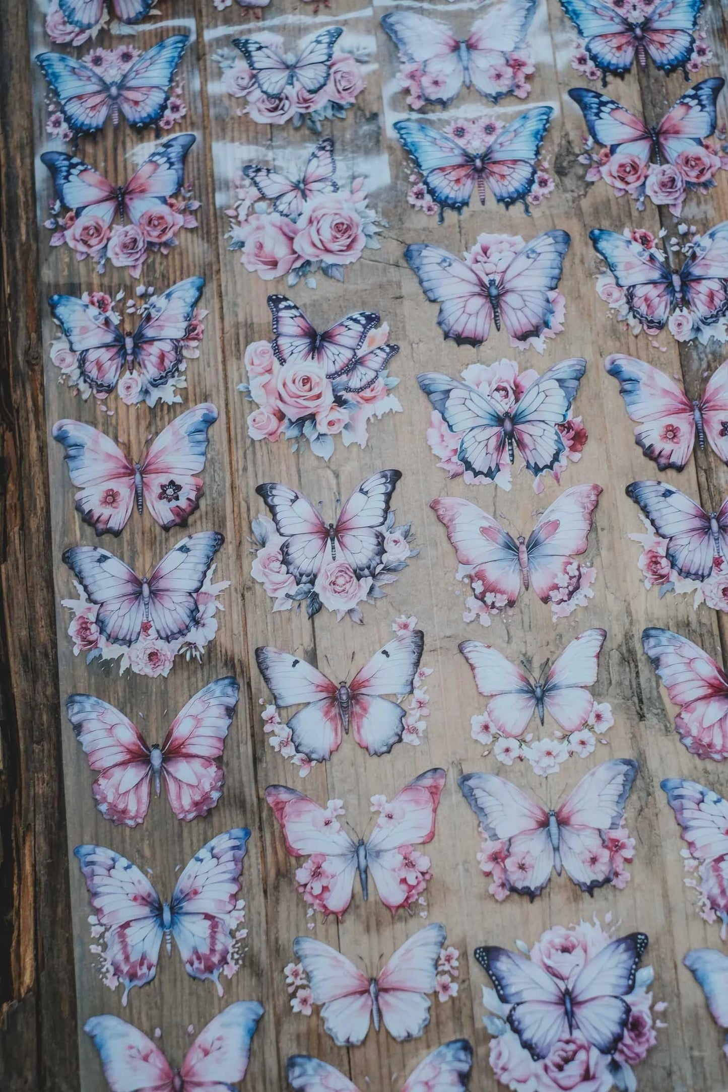 LG | Dreamy pink butterflies - One PET loop