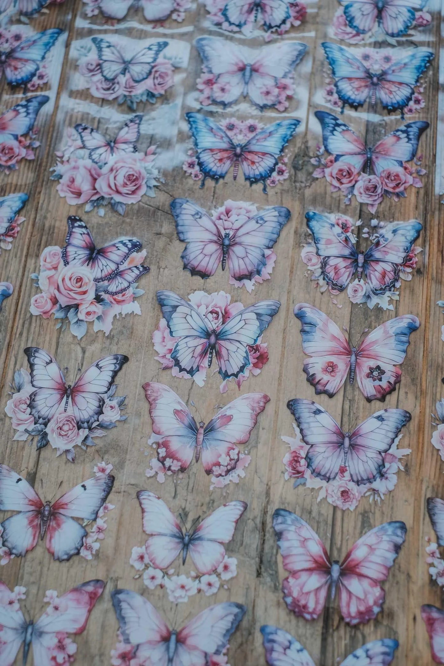 LG | Dreamy pink butterflies - One PET loop