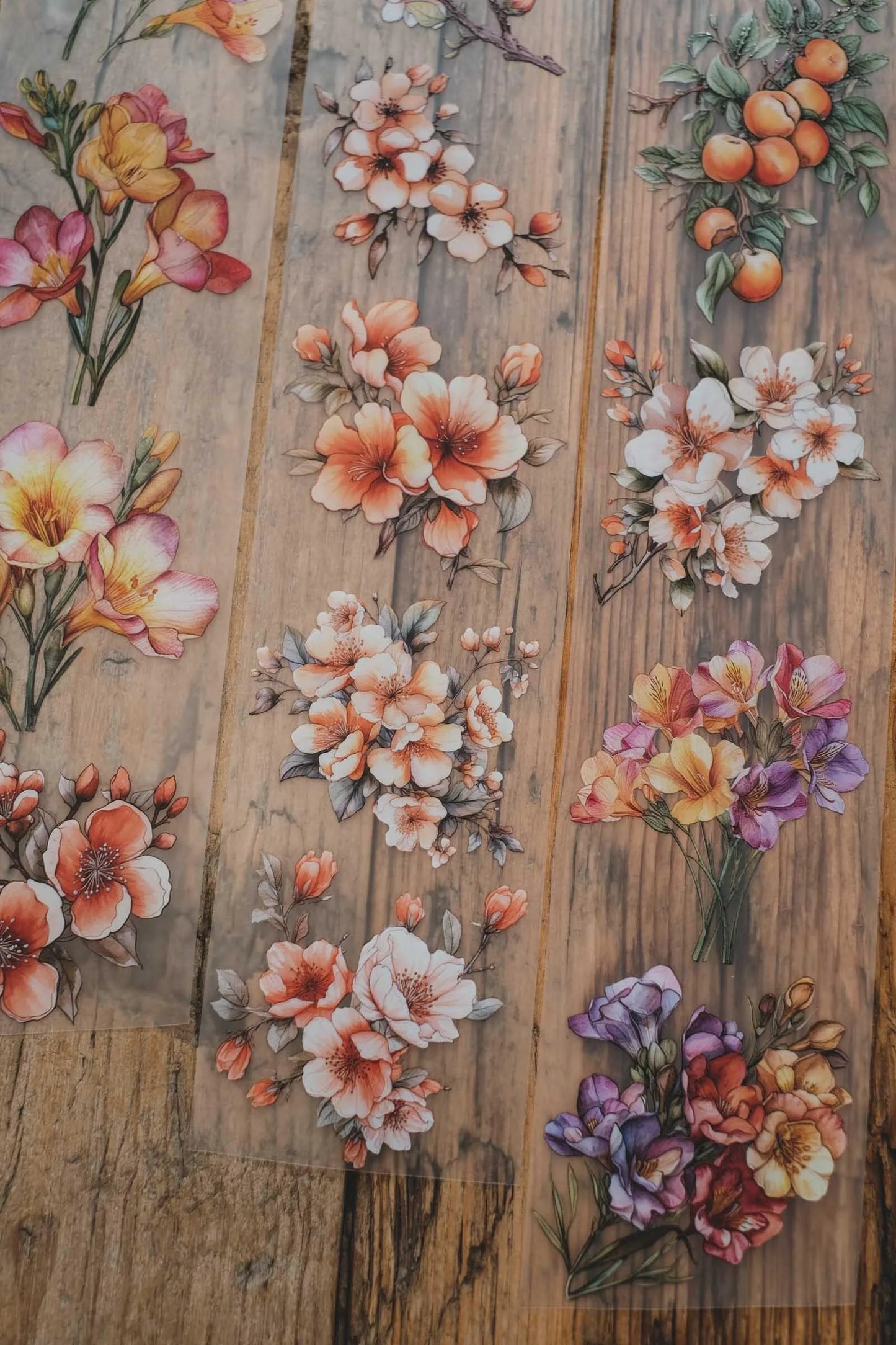 LG | Freesias and apricot flowers - One PET loop