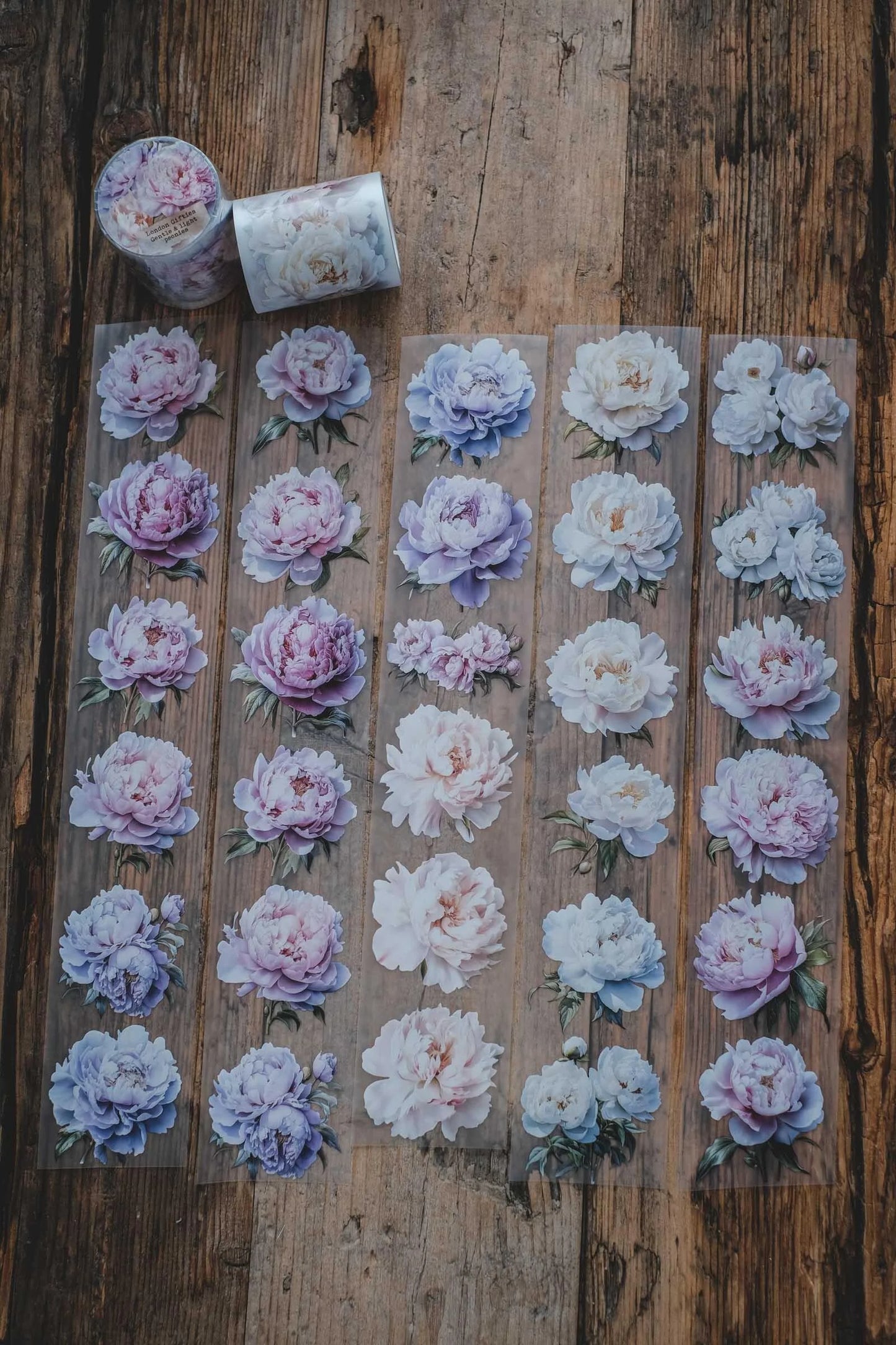 LG | Gentle and Light Peonies - One PET loop
