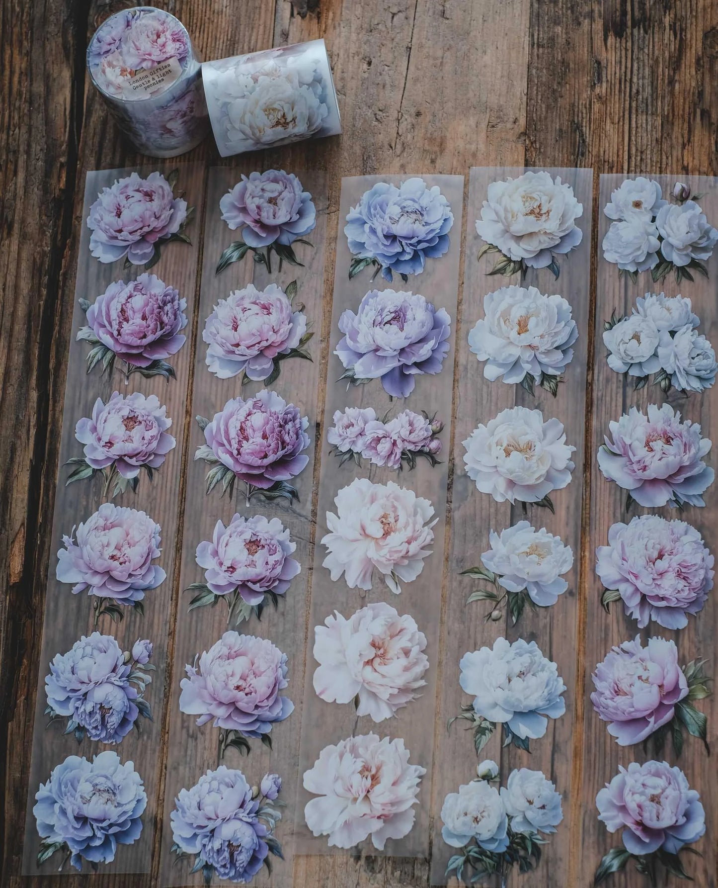 LG | Gentle and Light Peonies - One PET loop