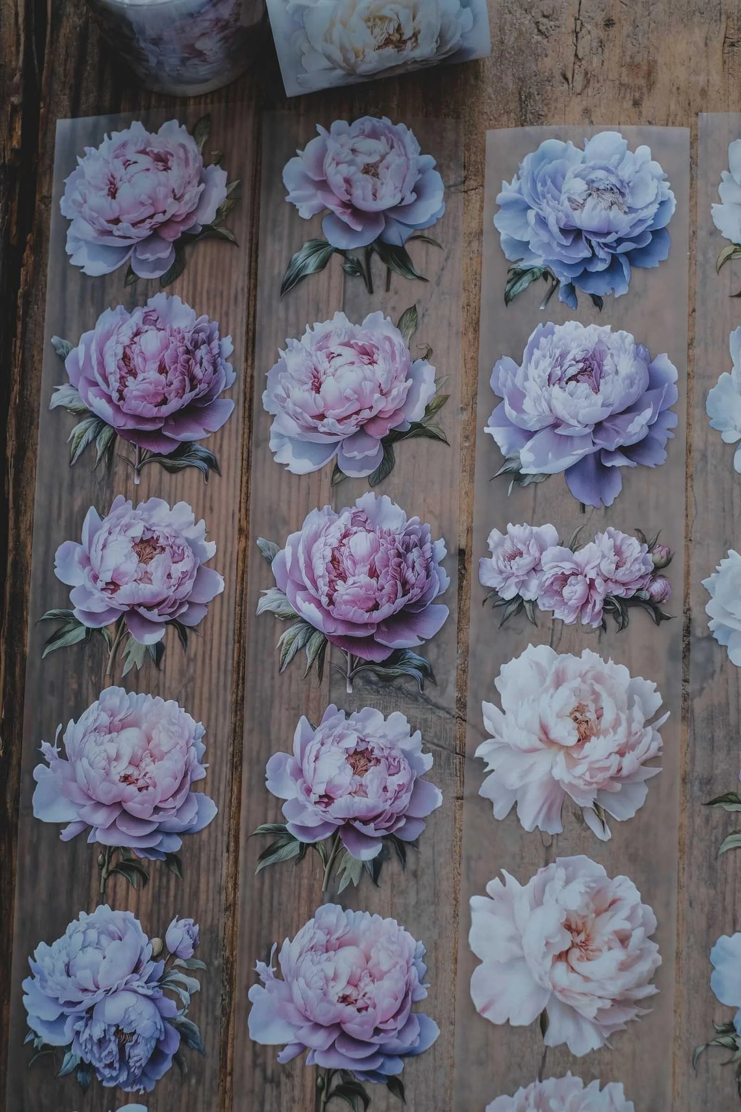 LG | Gentle and Light Peonies - One PET loop