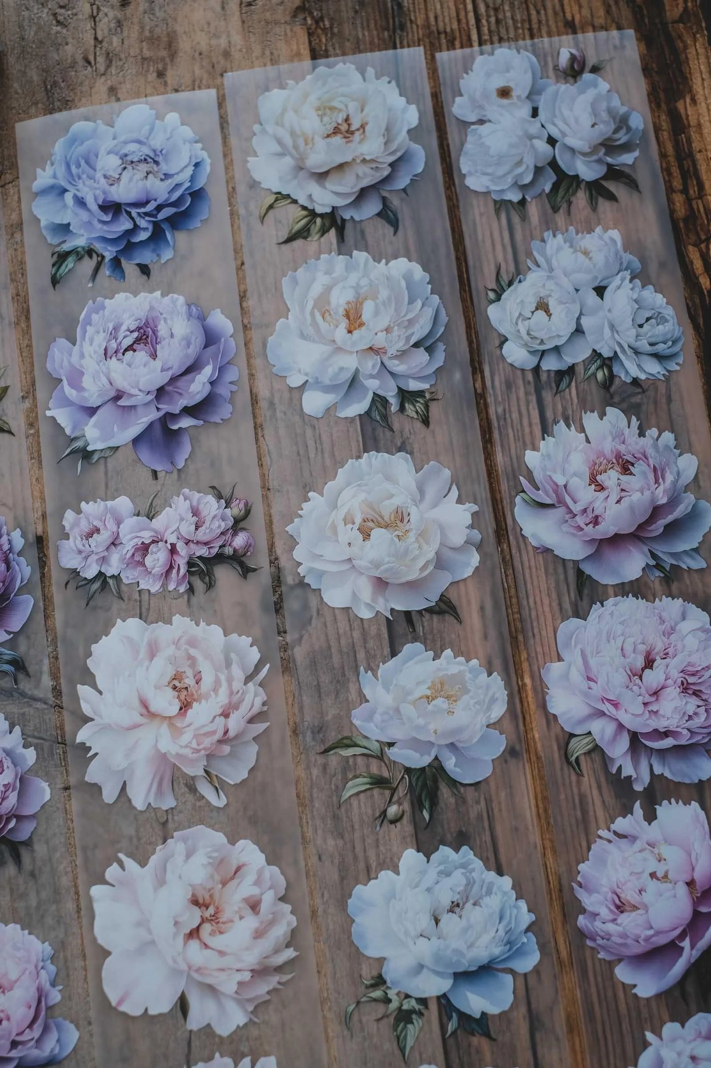 LG | Gentle and Light Peonies - One PET loop