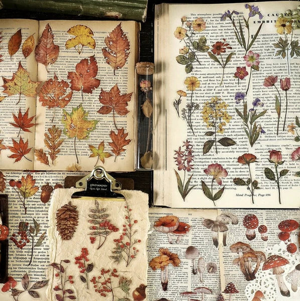 Clear Sticker Flakes