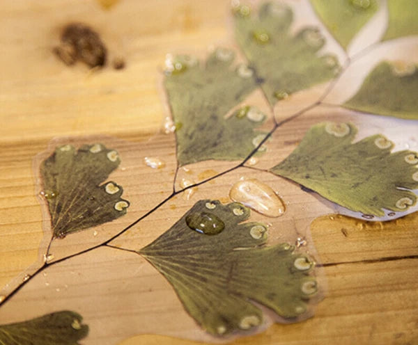 Large PET Dried Flower and Leaves Stickers