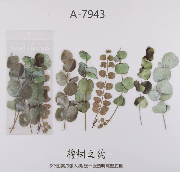Large PET Dried Flower and Leaves Stickers