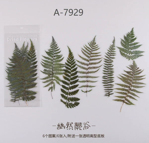 Large PET Dried Flower and Leaves Stickers