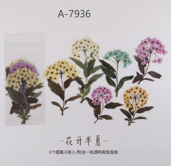 Large PET Dried Flower and Leaves Stickers