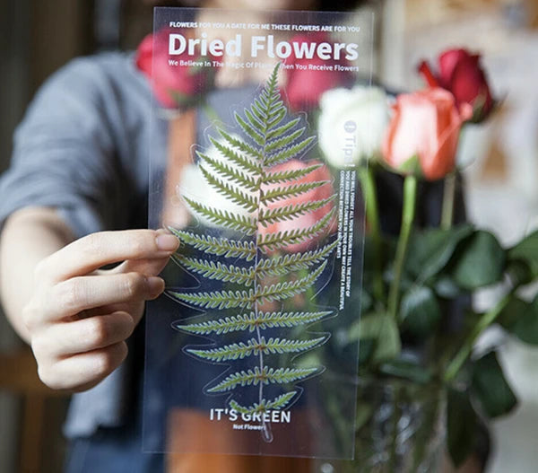 Large PET Dried Flower and Leaves Stickers