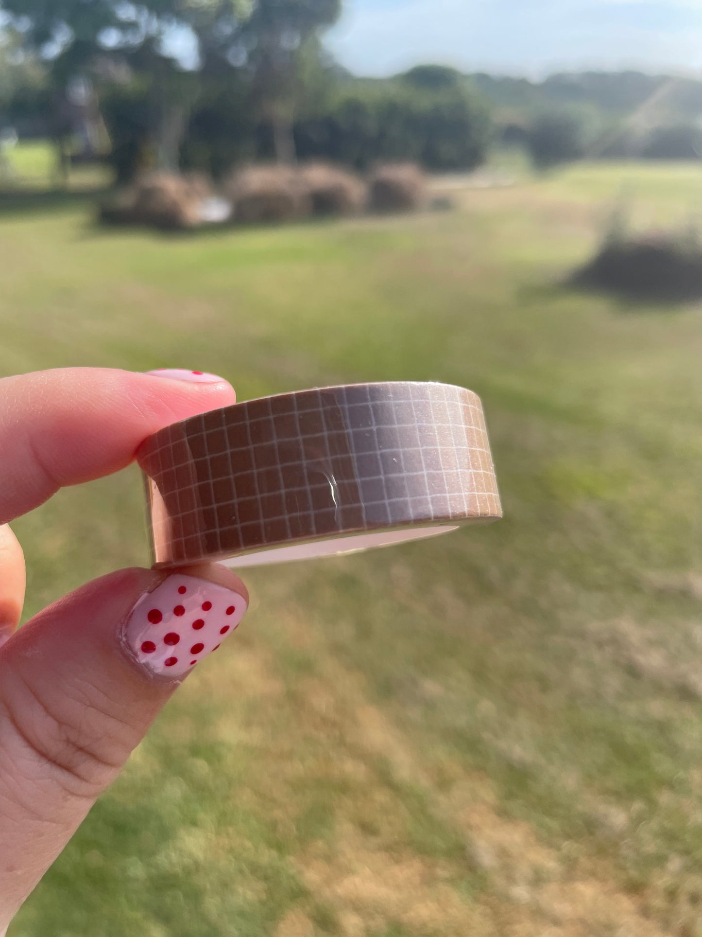 Autumn Grid Washi