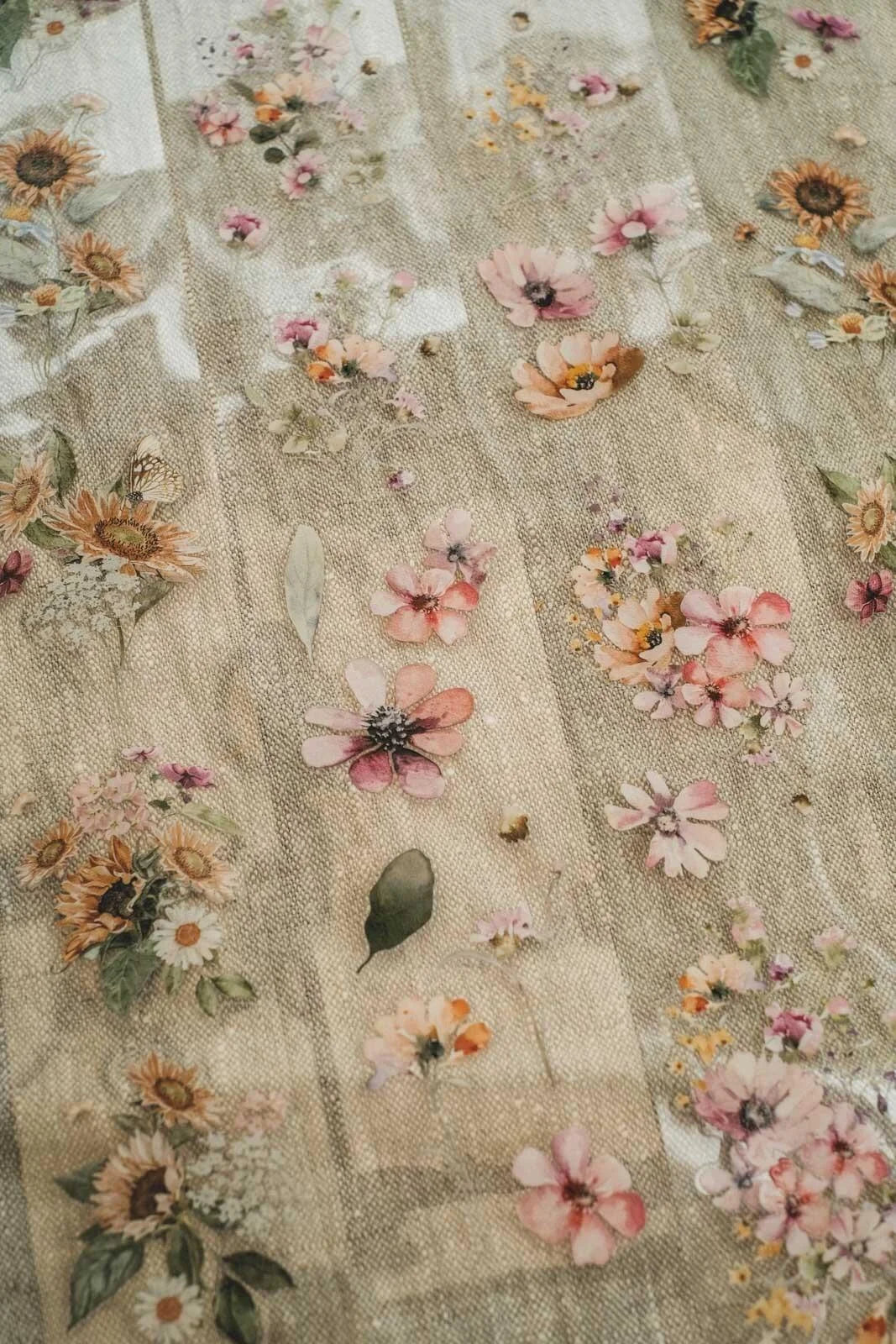 LG| Calm And Colourful Meadow Flowers