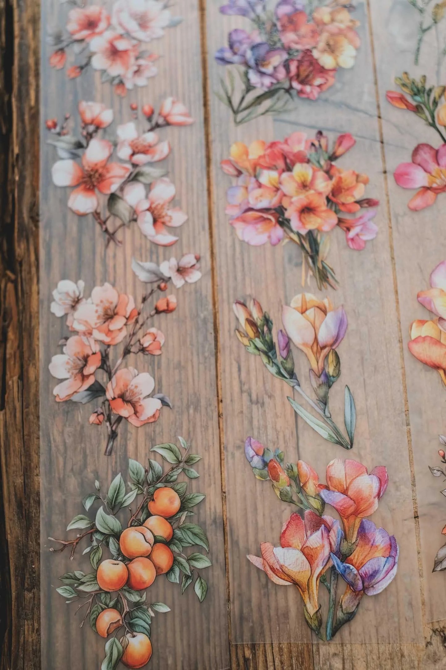 LG | Freesias and apricot flowers - One PET loop