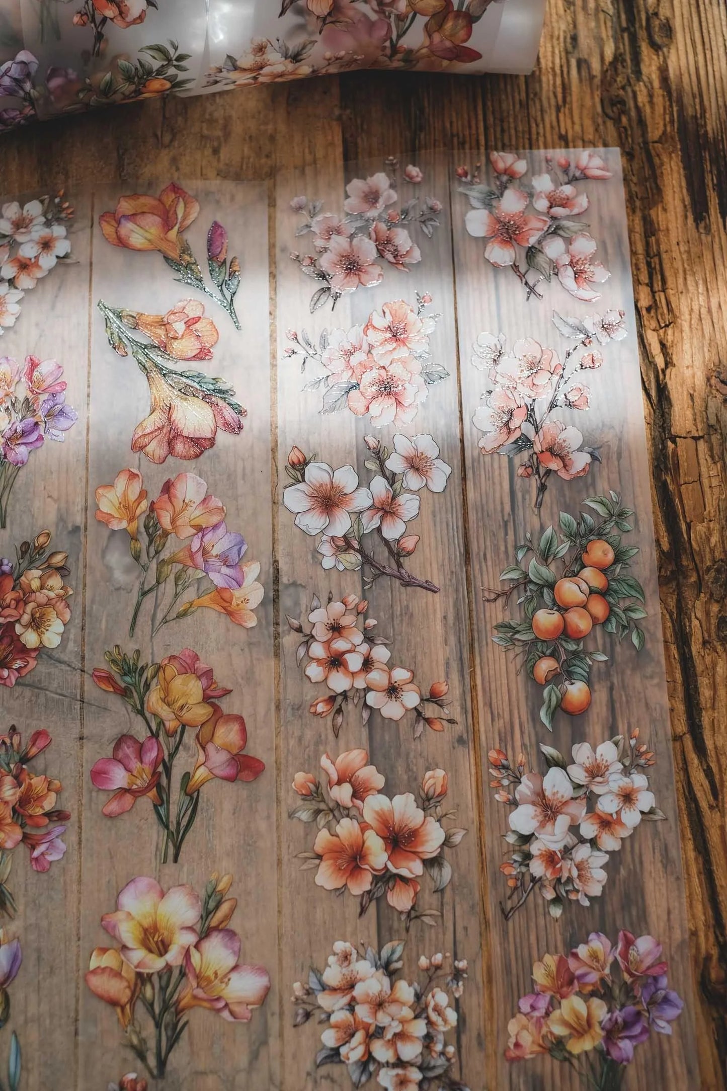 LG | Freesias and apricot flowers - One PET loop