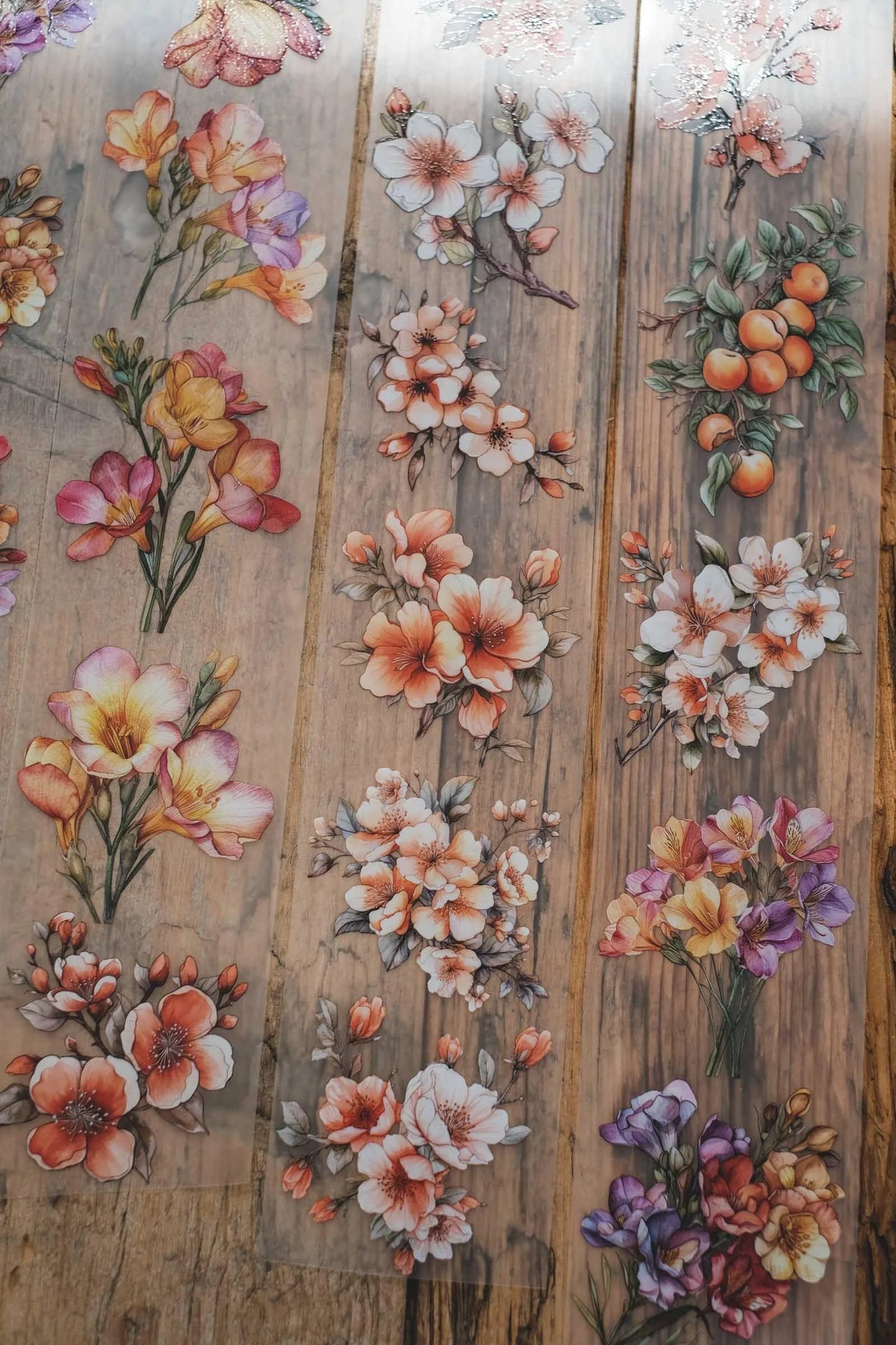 LG | Freesias and apricot flowers - One PET loop