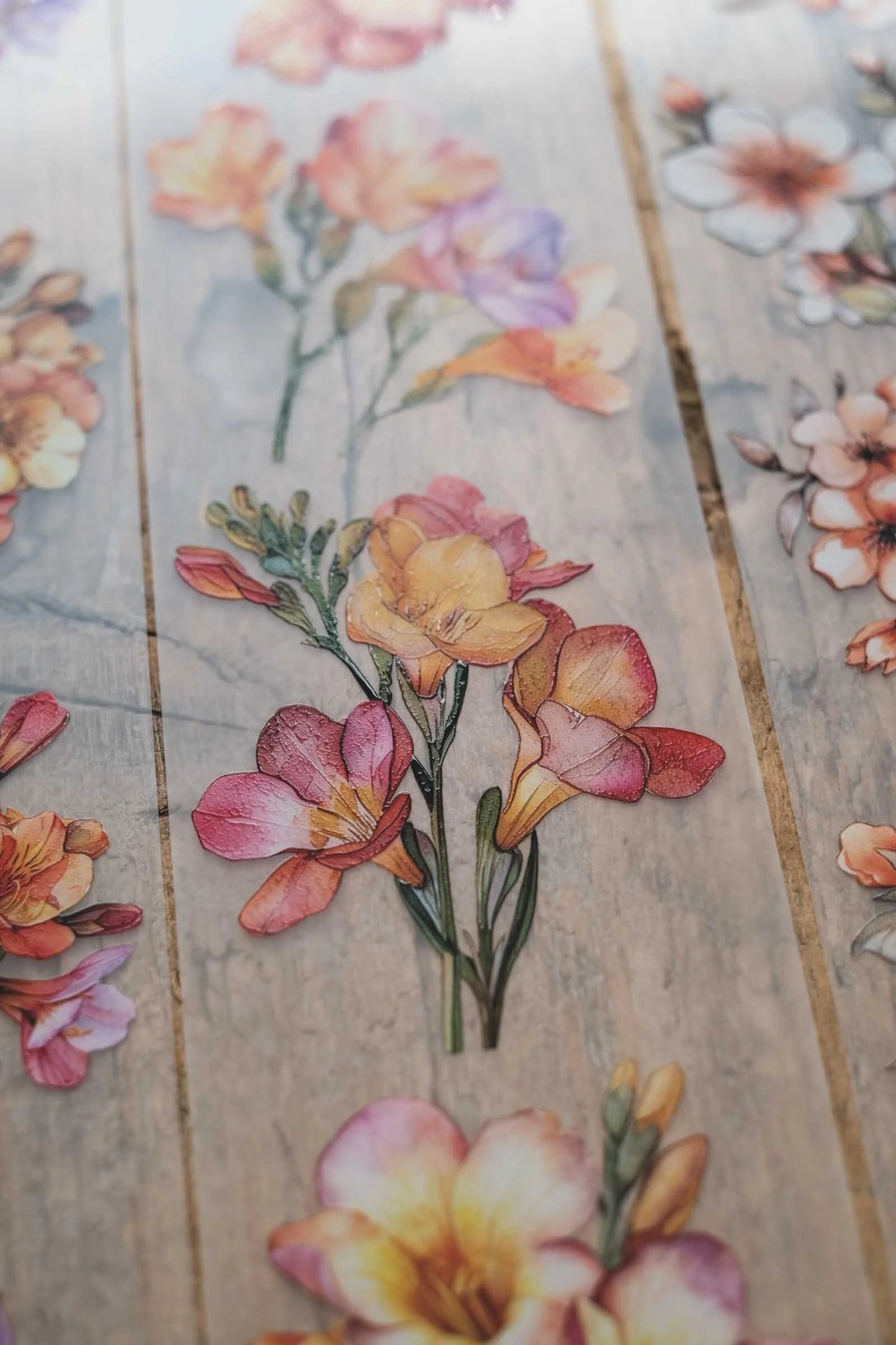 LG | Freesias and apricot flowers - One PET loop