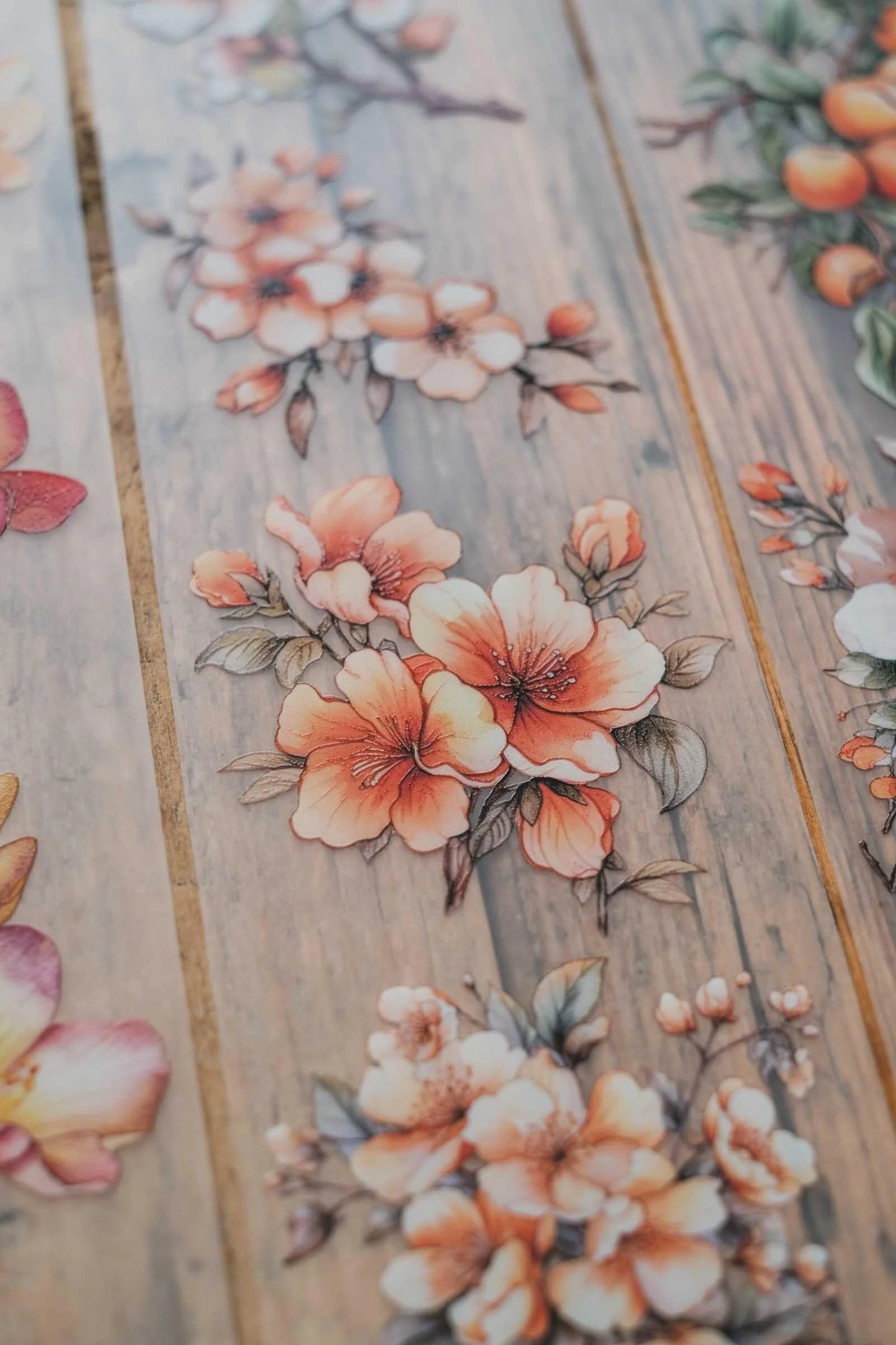 LG | Freesias and apricot flowers - One PET loop
