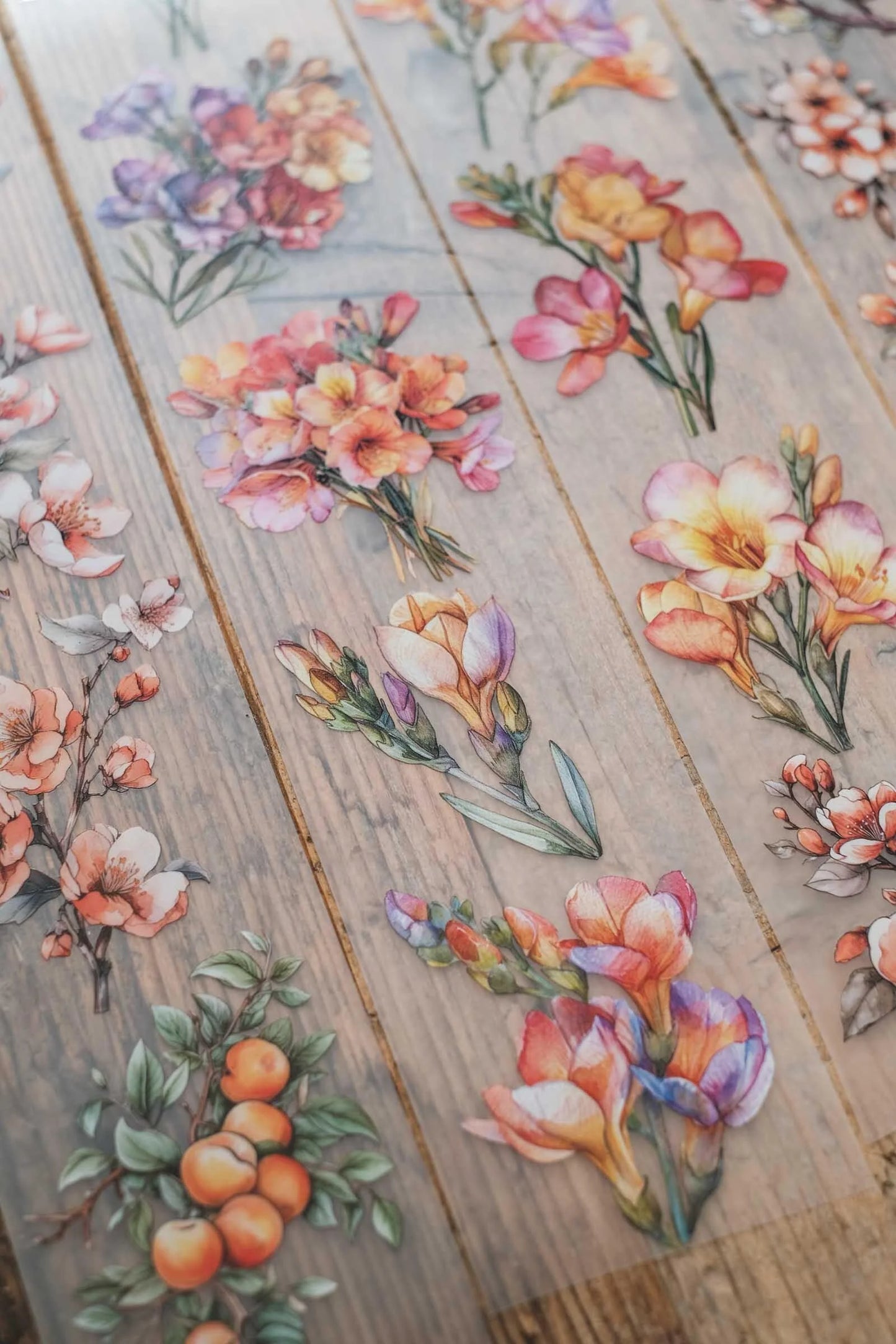LG | Freesias and apricot flowers - One PET loop