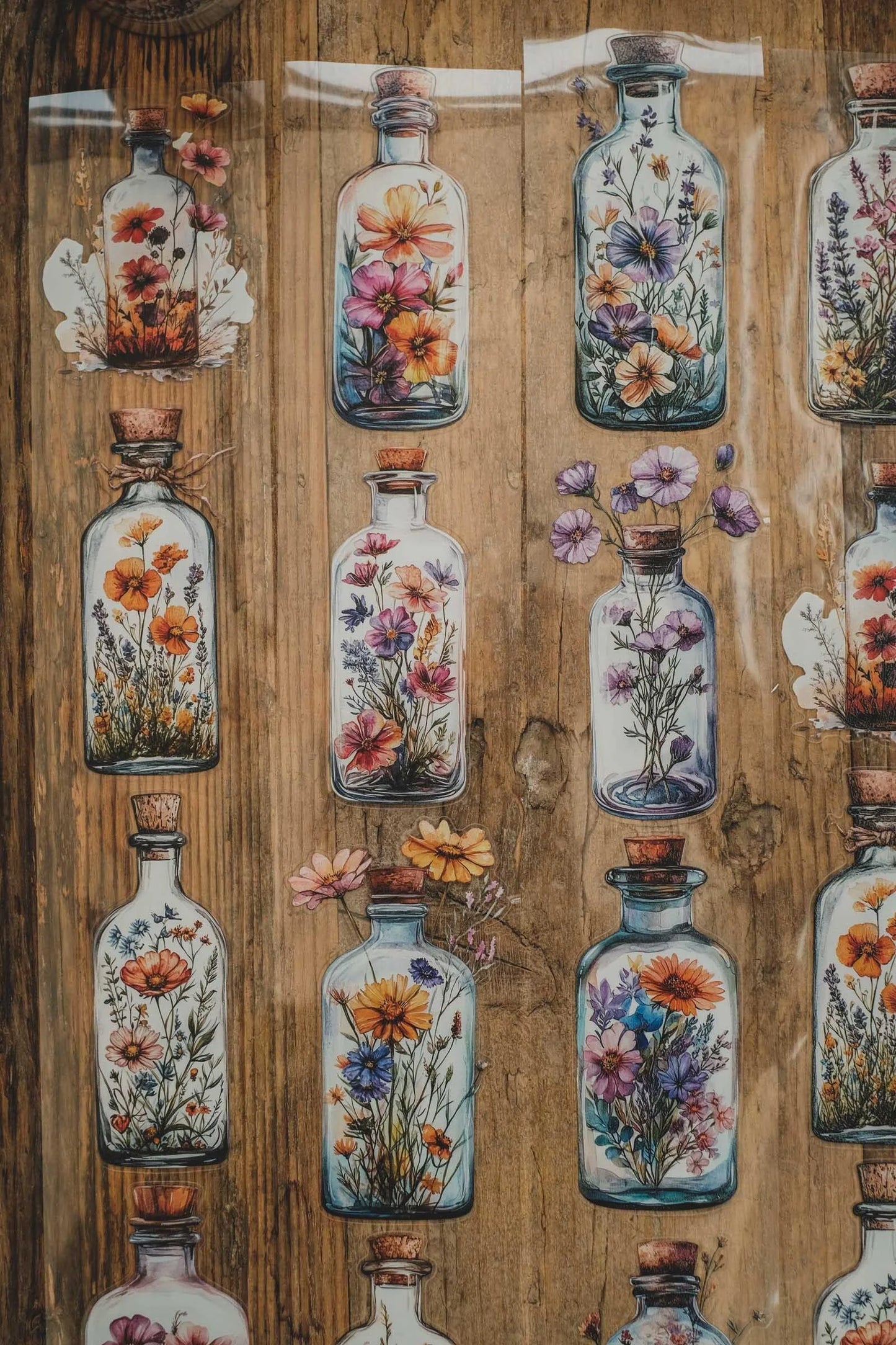 LG| Full of Flowers Bottles - Kiss Cut - One PET loop