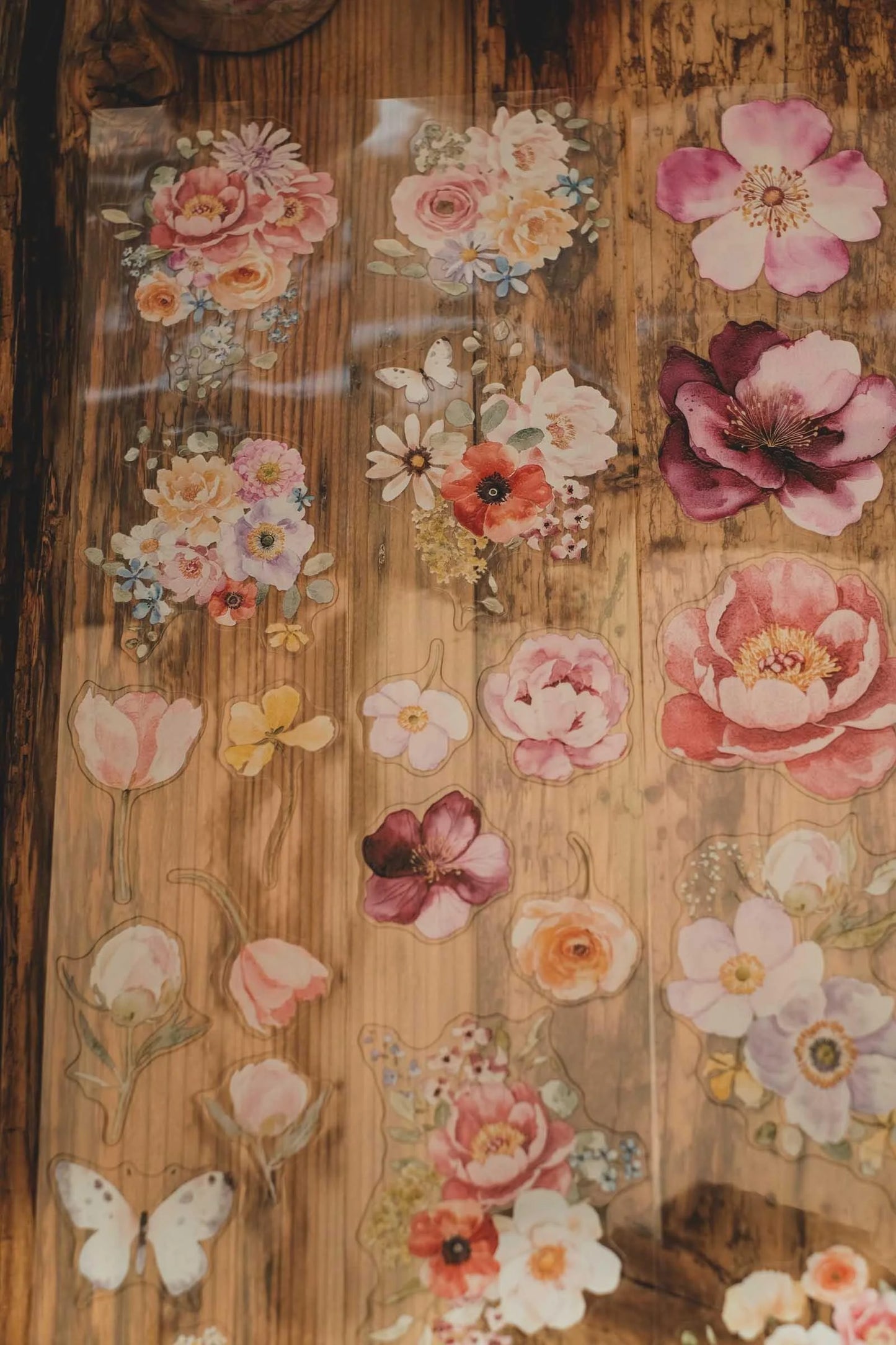 LG| Garden of Light and Bright Flowers