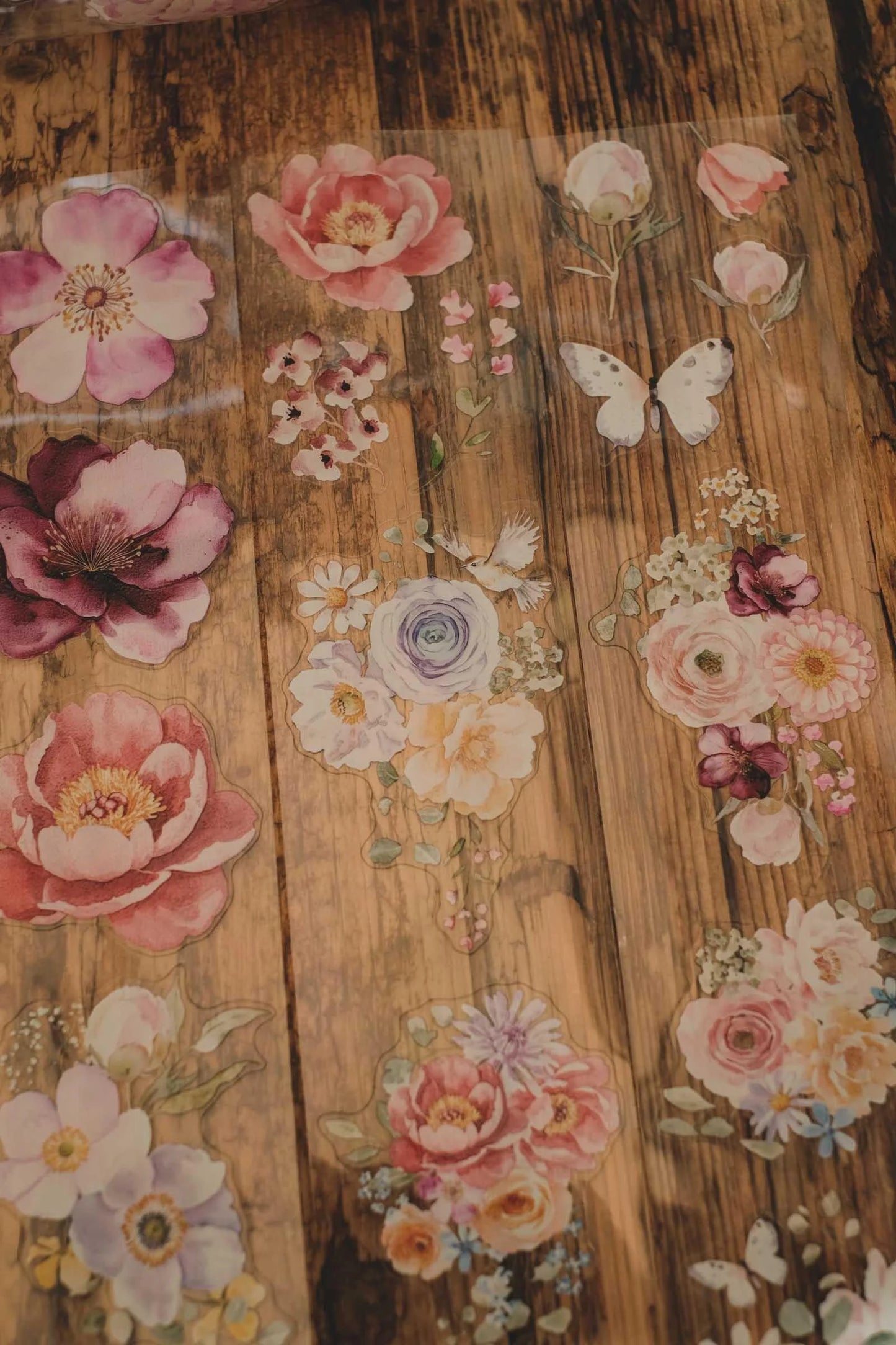 LG| Garden of Light and Bright Flowers
