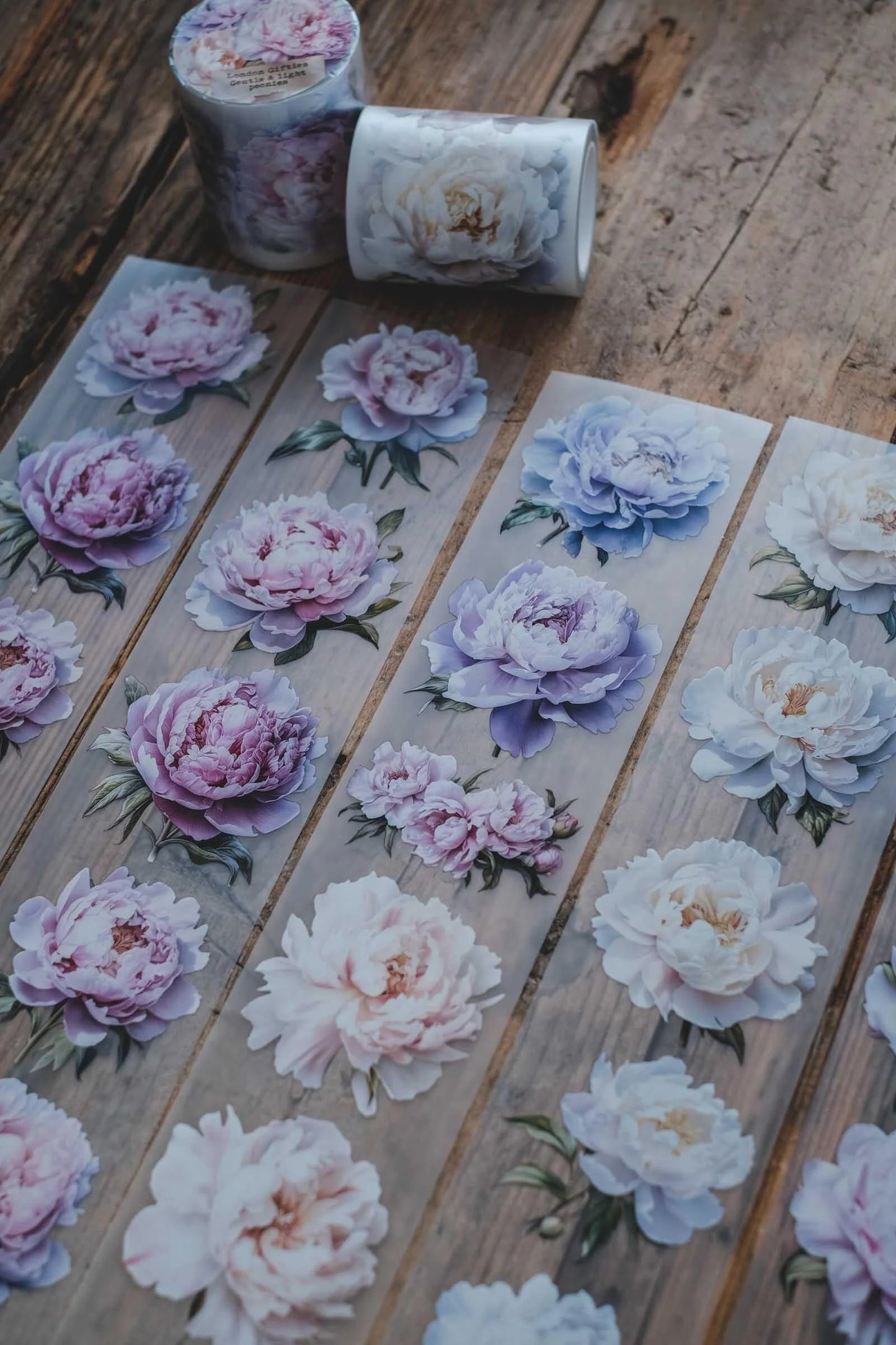 LG | Gentle and Light Peonies - One PET loop